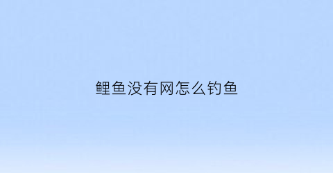 鲤鱼没有网怎么钓鱼