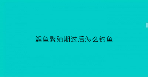 鲤鱼繁殖期过后怎么钓鱼