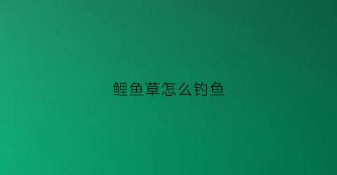 鲤鱼草怎么钓鱼(鲤鱼草鲤)