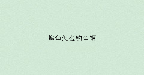 鲨鱼怎么钓鱼饵(鲨鱼怎么钓鱼饵料)