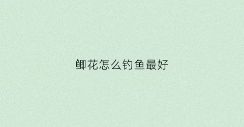 鲫花怎么钓鱼最好(鲫花怎么钓鱼最好呢)