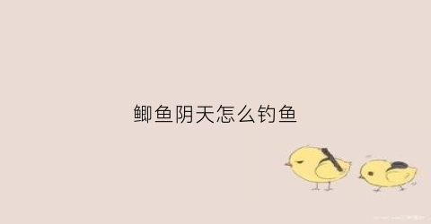 鲫鱼阴天怎么钓鱼(钓鲫鱼阴天怎么钓)