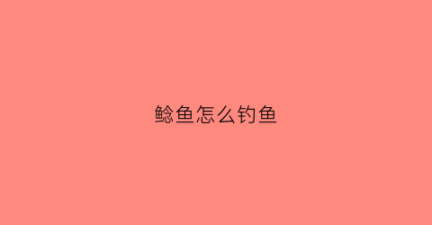 鲶鱼怎么钓鱼(鲶鱼怎么钓用什么饵)