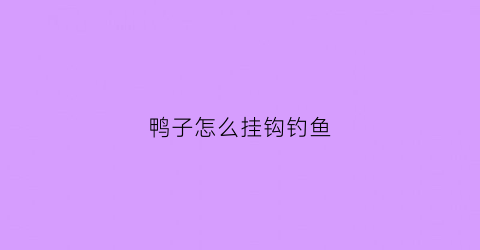 鸭子怎么挂钩钓鱼