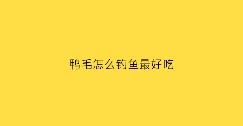 鸭毛怎么钓鱼最好吃