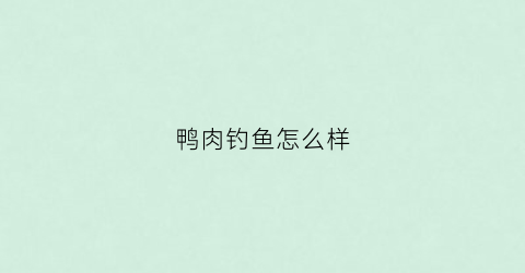 鸭肉钓鱼怎么样(鸭肉可以钓什么鱼)