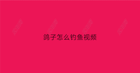 鸽子怎么钓鱼视频