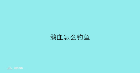 鹅血怎么钓鱼