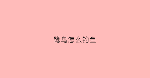 鹭鸟怎么钓鱼(鹭鸟怎么钓鱼最好)