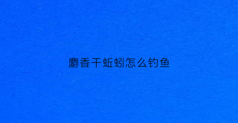 麝香干蚯蚓怎么钓鱼(麝香蚯蚓饵)