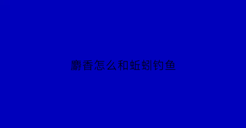 麝香怎么和蚯蚓钓鱼(麝香蚯蚓钓鱼真的有效果吗)