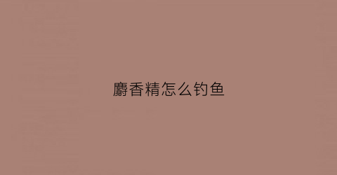 麝香精怎么钓鱼