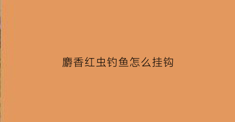 麝香红虫钓鱼怎么挂钩(麝香和红虫哪个更招大鱼)