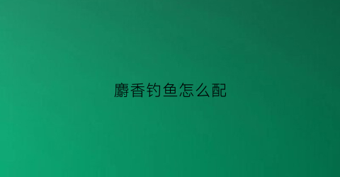 麝香钓鱼怎么配(麝香钓鱼怎么配比)