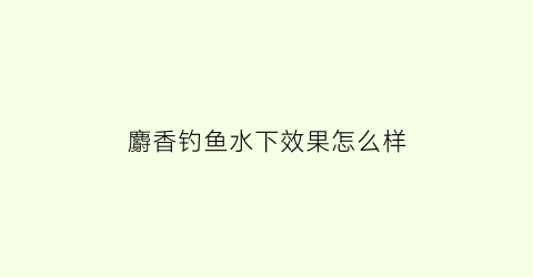 “麝香钓鱼水下效果怎么样(麝香水钓鱼的作用与功效)