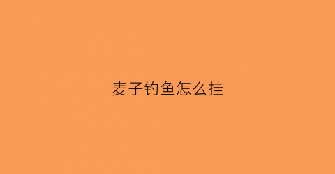 麦子钓鱼怎么挂(麦子钓鱼挂钩方法)