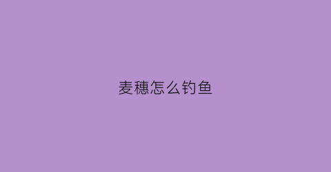 麦穗怎么钓鱼(麦穗怎么钓快)