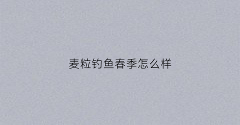 麦粒钓鱼春季怎么样(麦粒钓鲤鱼怎么样)