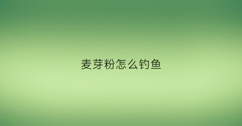 麦芽粉怎么钓鱼(麦芽钓什么鱼)