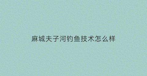 麻城夫子河钓鱼技术怎么样(麻城夫子河景点)