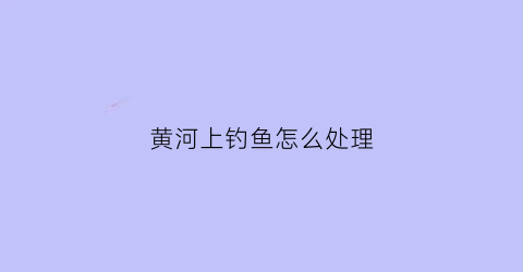 黄河上钓鱼怎么处理