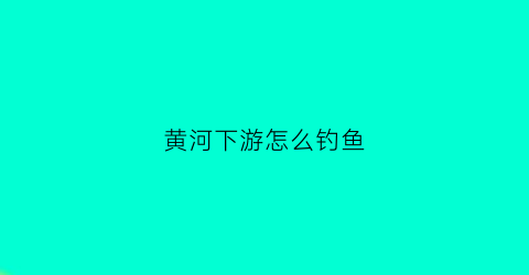黄河下游怎么钓鱼(黄河下游怎么钓鱼最好)
