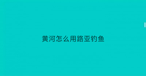 “黄河怎么用路亚钓鱼(黄河路亚技巧)