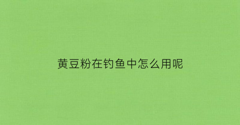 黄豆粉在钓鱼中怎么用呢(怎么用黄豆粉钓鲤鱼)