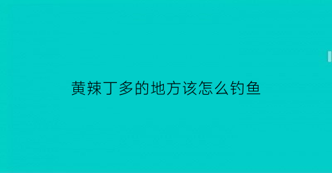 黄辣丁多的地方该怎么钓鱼