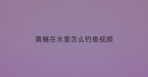 “黄鳝在水里怎么钓鱼视频(黄鳝的钓法视频)