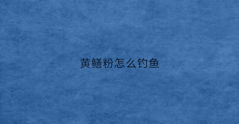 黄鳝粉怎么钓鱼(黄鳝粉怎么钓鱼视频)