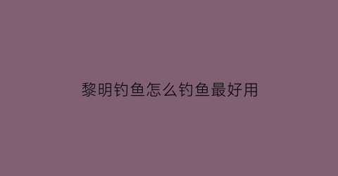 黎明钓鱼怎么钓鱼最好用(黎明打鱼)