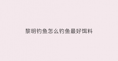 “黎明钓鱼怎么钓鱼最好饵料(黎明水库可以钓鱼吗)