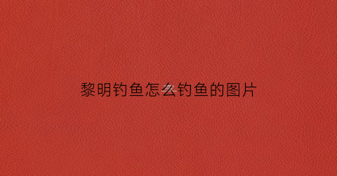黎明钓鱼怎么钓鱼的图片(黎明网鱼)
