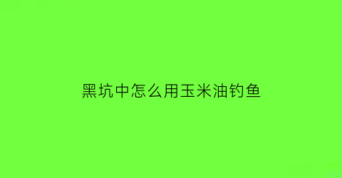 黑坑中怎么用玉米油钓鱼(黑坑用玉米钓鲤鱼怎么样)