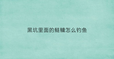 “黑坑里面的鲢鳙怎么钓鱼(黑坑里面的鲢鳙怎么钓鱼好)