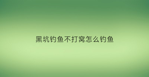 “黑坑钓鱼不打窝怎么钓鱼(黑坑不准打窝怎么办)