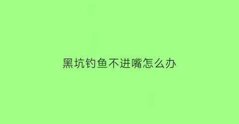 黑坑钓鱼不进嘴怎么办(黑坑钓鱼不进嘴怎么办呢)