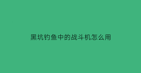 黑坑钓鱼中的战斗机怎么用(黑坑打比赛怎么钓比较好点)