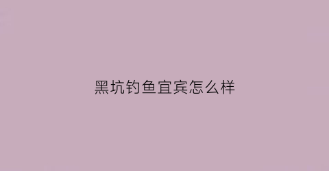 黑坑钓鱼宜宾怎么样(宜宾钓点)