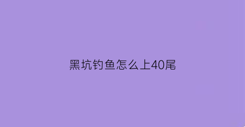 黑坑钓鱼怎么上40尾(黑坑正钓)