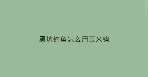 “黑坑钓鱼怎么用玉米钩(黑坑钓玉米怎么调漂)