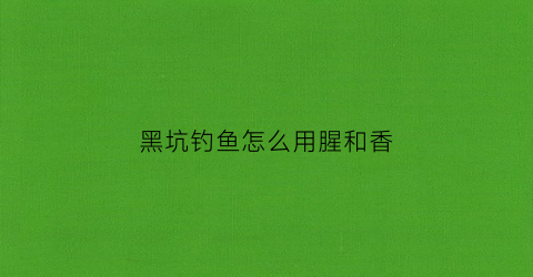 黑坑钓鱼怎么用腥和香(黑坑用什么味型饵料)
