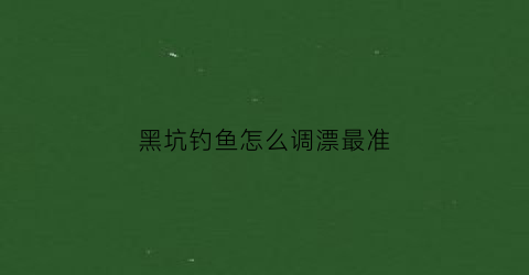 黑坑钓鱼怎么调漂最准(黑坑怎样调漂上鱼效果最好)