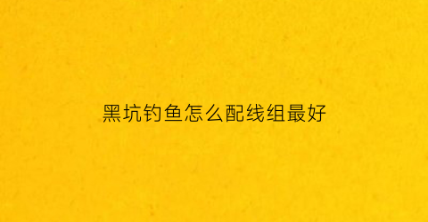 “黑坑钓鱼怎么配线组最好(钓黑坑线组怎么搭配)