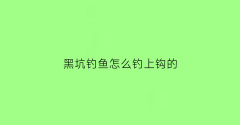 黑坑钓鱼怎么钓上钩的(黑坑钓鱼怎么钓上钩的视频教程)