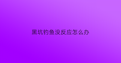 黑坑钓鱼没反应怎么办