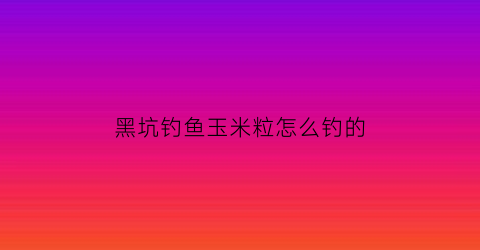 黑坑钓鱼玉米粒怎么钓的(黑坑玉米饵怎样制作)