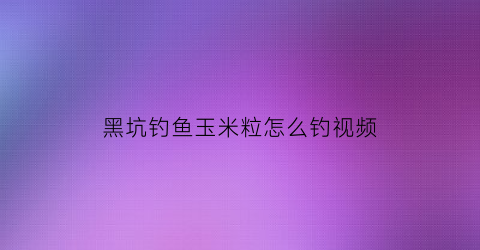 黑坑钓鱼玉米粒怎么钓视频(黑坑钓鱼玉米粒怎么钓视频教学)