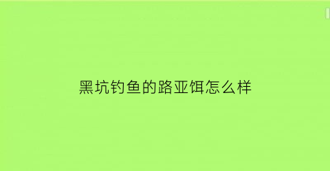 黑坑钓鱼的路亚饵怎么样